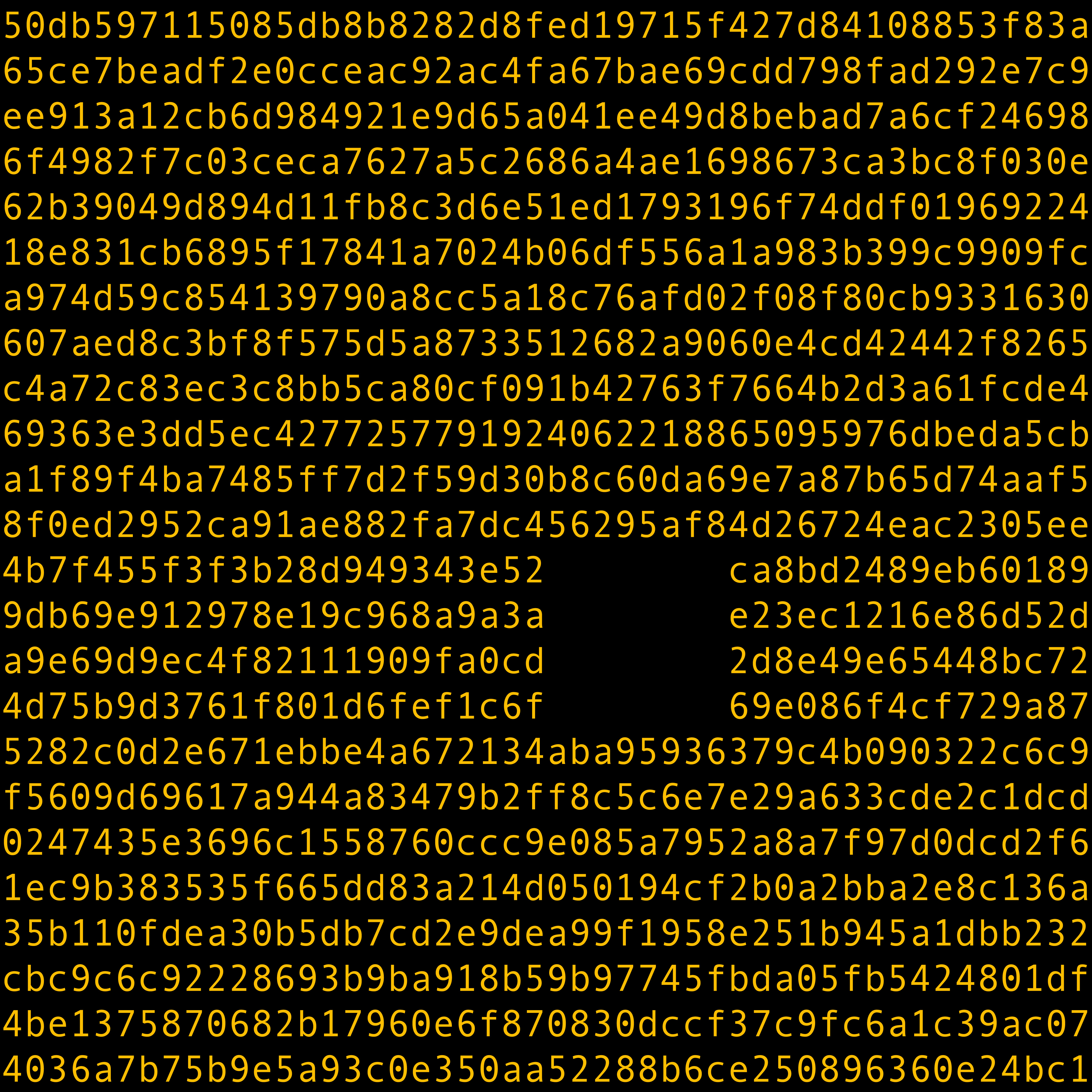 1111 #0224 by Kevin Abosch