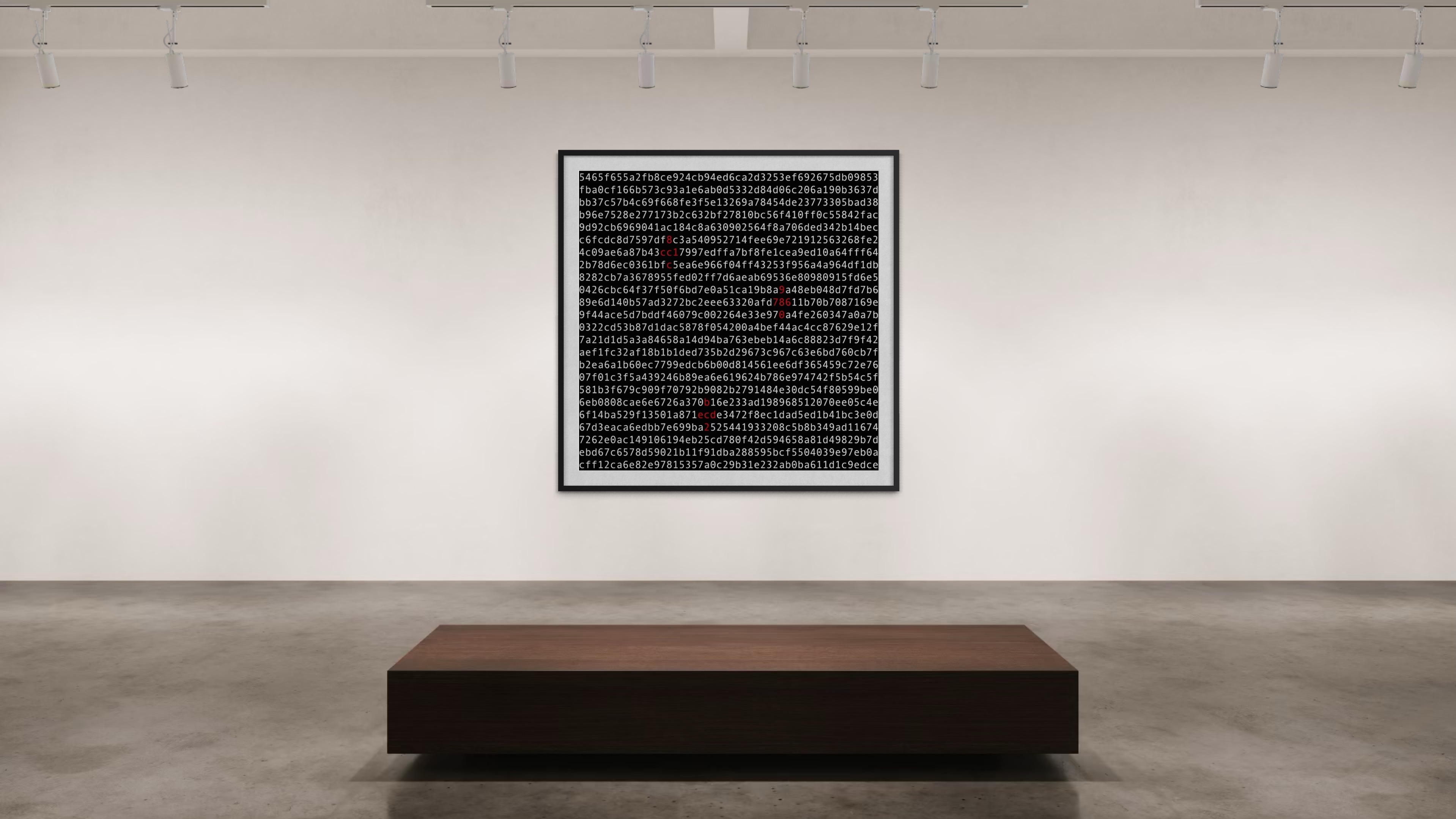 1111 #0042 by Kevin Abosch (installation view)